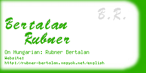 bertalan rubner business card